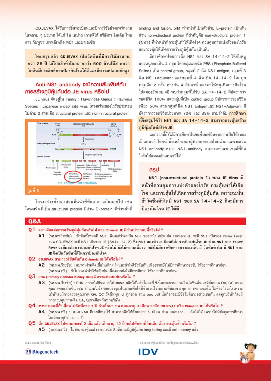 Confidence on the Long Term Protection of CD.JEVAX